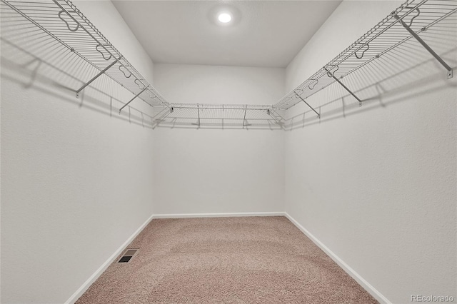 spacious closet with carpet flooring