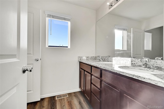 bathroom with vanity and wood-type flooring