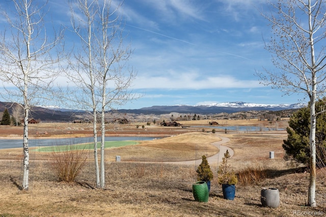 view of yard featuring a water and mountain view