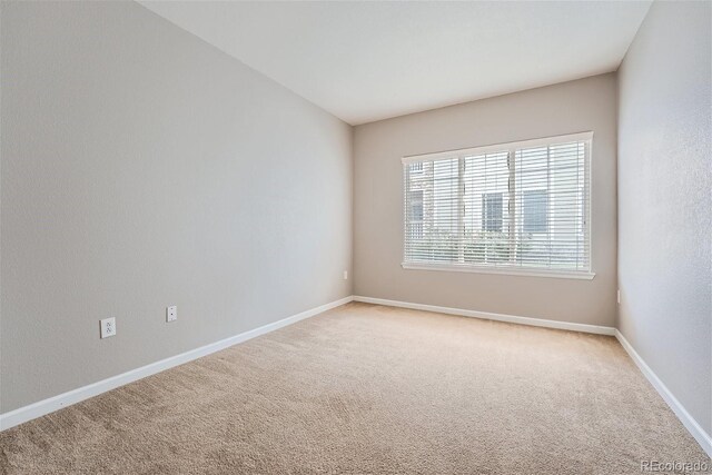 spare room with light carpet