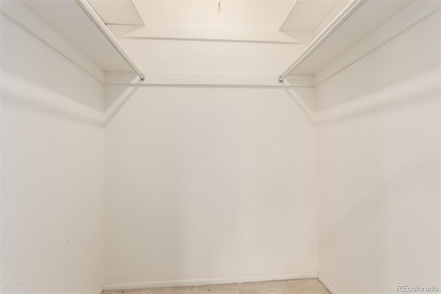 walk in closet with light carpet