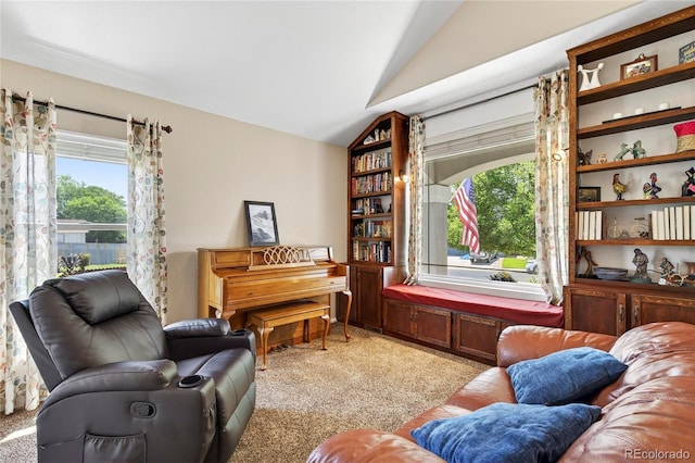 4737 E 127th Ave, Thornton, CO 80241 - living area featuring lofted ceiling and light colored carpet
