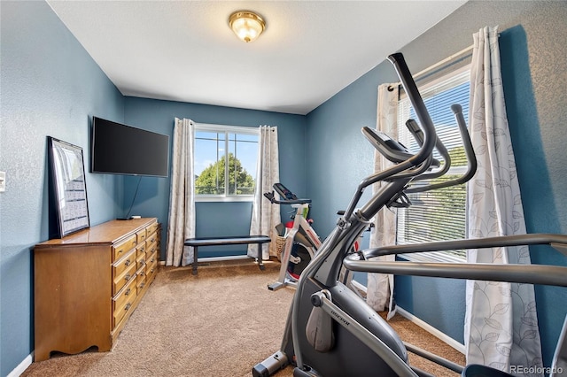 4737 E 127th Ave, Thornton, CO 80241 - exercise room with a textured wall and carpet