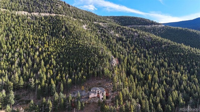 900 Sawmill Creek Rd, Evergreen, CO 80439 - photo 4