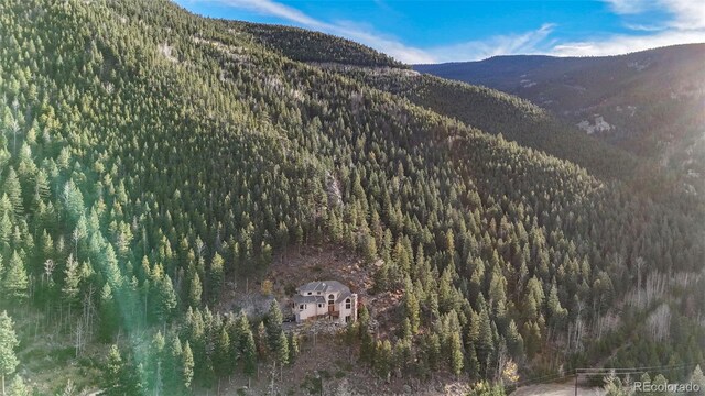 900 Sawmill Creek Rd, Evergreen, CO 80439 - photo 5