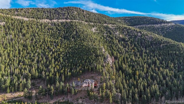 900 Sawmill Creek Rd, Evergreen, CO 80439 - photo 6