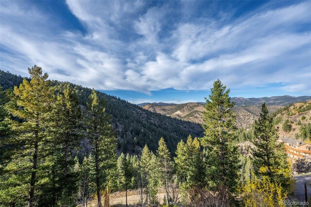 900 Sawmill Creek Rd, Evergreen, CO 80439 - photo 11