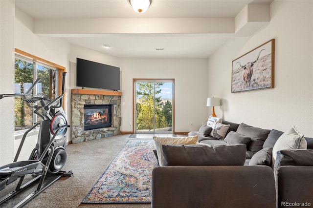 900 Sawmill Creek Rd, Evergreen, CO 80439 - photo 42
