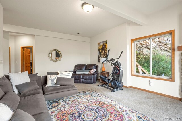 900 Sawmill Creek Rd, Evergreen, CO 80439 - photo 43