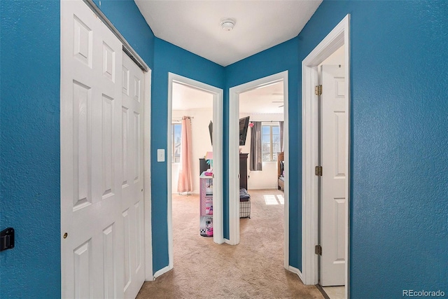 hallway with carpet floors