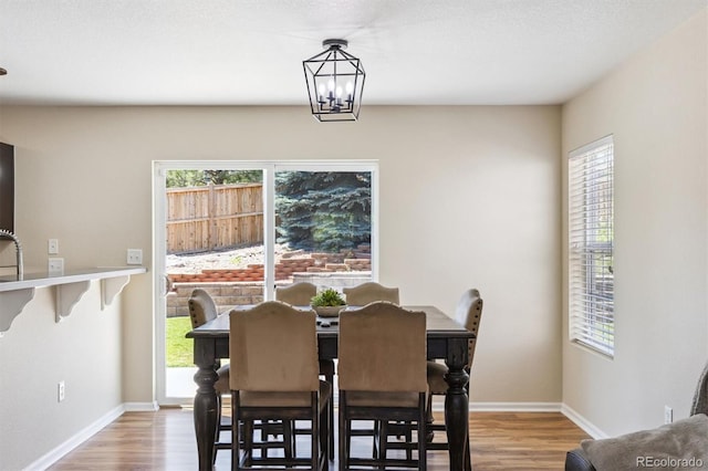 1753 Hogan Ct, Castle Rock, CO 80109 - photo 10