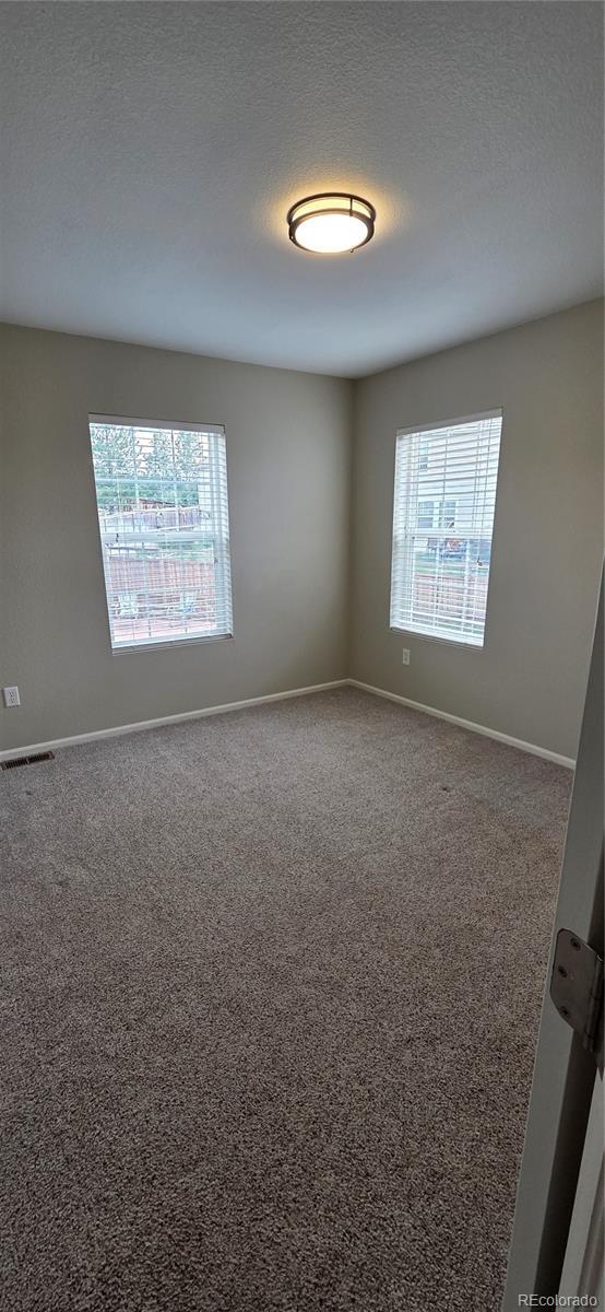 1753 Hogan Ct, Castle Rock, CO 80109 - photo 17