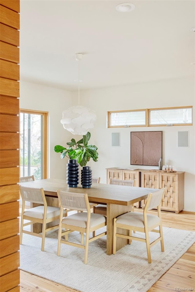 dining area featuring light wood-style floors and a healthy amount of sunlight