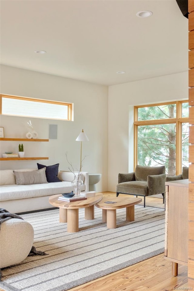 living area with wood finished floors and recessed lighting