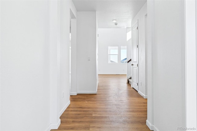 hall featuring wood-type flooring