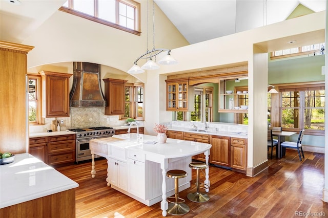 kitchen with high end range, custom range hood, light countertops, high vaulted ceiling, and a sink