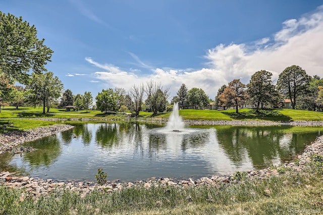14390 E Marina Dr Unit 403, Aurora, CO 80014 - water view