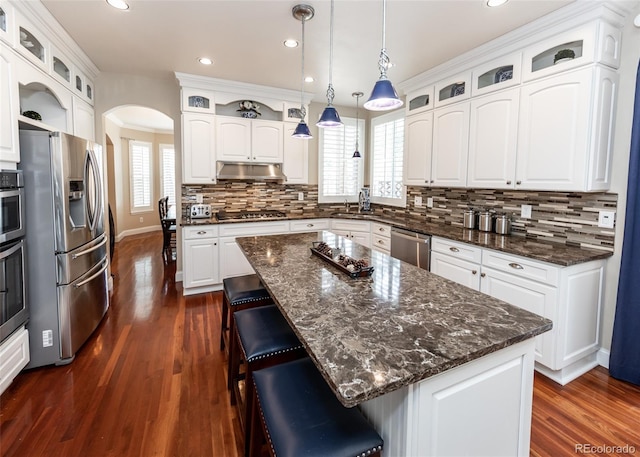 1530 Woodrose Ct, Colorado Springs, CO 80921 - kitchen featuring stainless steel appliances, arched walkways, under cabinet range hood, recessed lighting, and dark wood finished floors