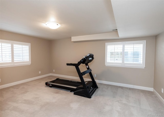 1530 Woodrose Ct, Colorado Springs, CO 80921 - workout area featuring carpet, healthy amount of natural light, and baseboards