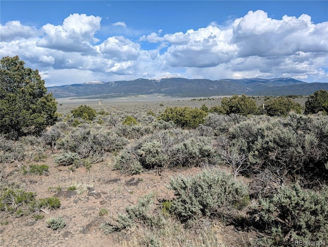 35ACRES Elk Park Rd, Fort Garland, CO 81133