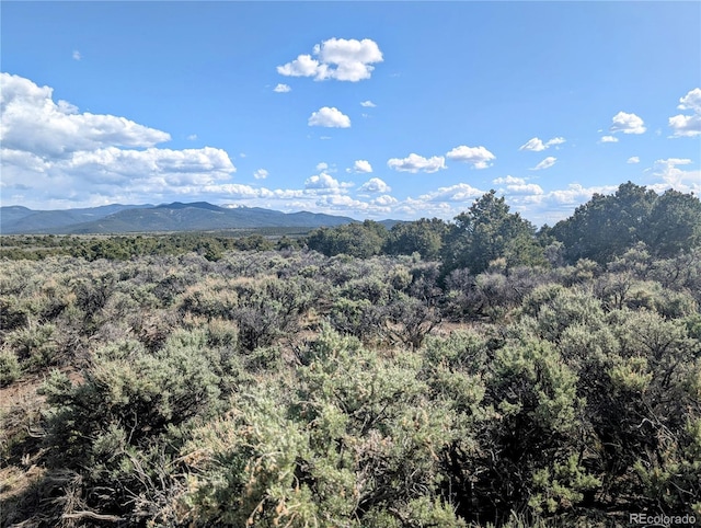 35ACRES Elk Park Rd, Fort Garland, CO 81133