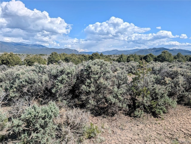35ACRES Elk Park Rd, Fort Garland, CO 81133