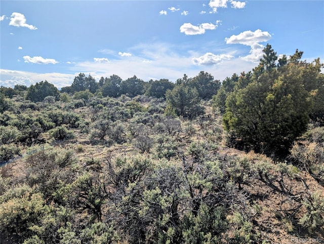 35ACRES Elk Park Rd, Fort Garland, CO 81133