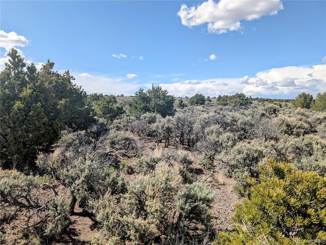 35ACRES Elk Park Rd, Fort Garland, CO 81133