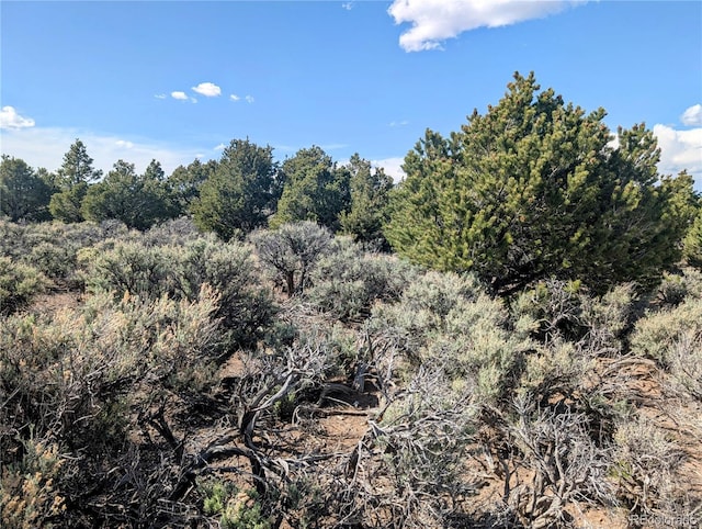 35ACRES Elk Park Rd, Fort Garland, CO 81133