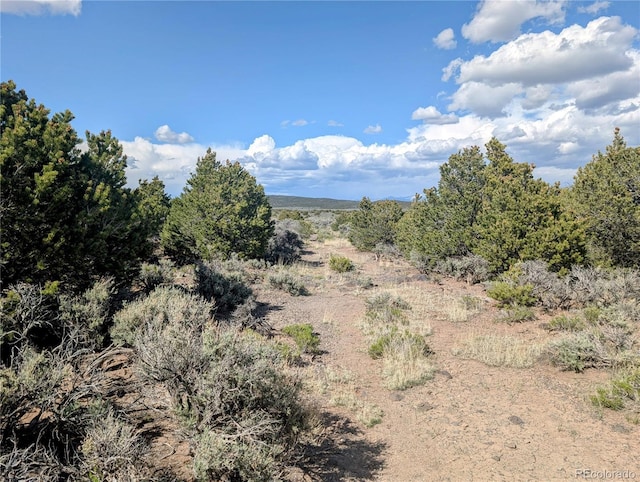 35ACRES Elk Park Rd, Fort Garland, CO 81133