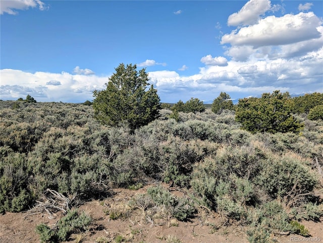 35ACRES Elk Park Rd, Fort Garland, CO 81133