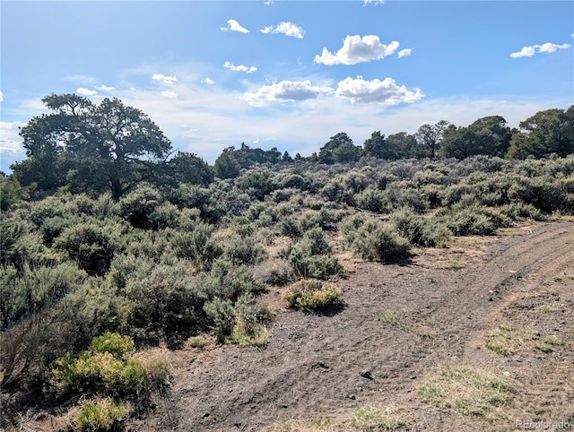 35ACRES Elk Park Rd, Fort Garland, CO 81133