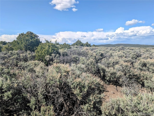 35ACRES Elk Park Rd, Fort Garland, CO 81133