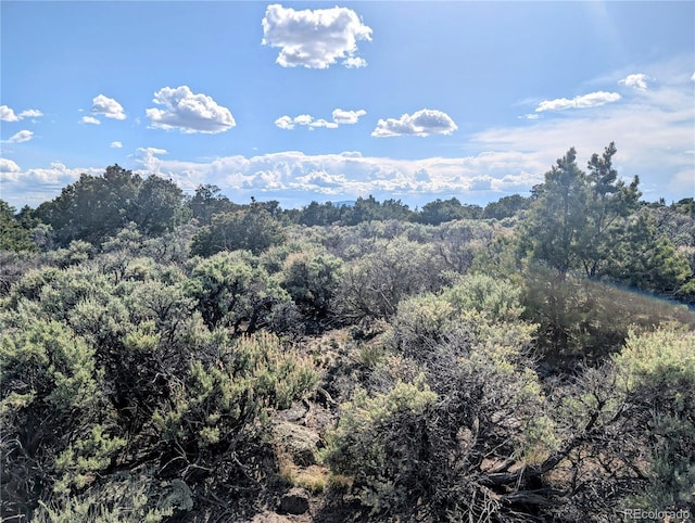 35ACRES Elk Park Rd, Fort Garland, CO 81133