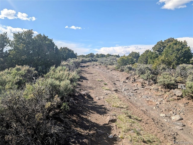 35ACRES Elk Park Rd, Fort Garland, CO 81133