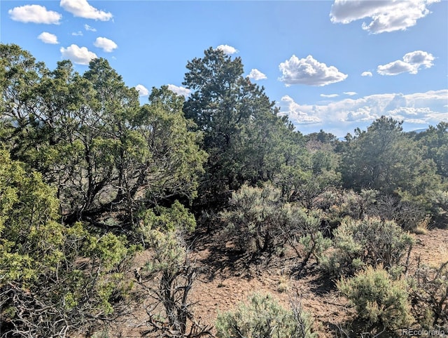 35ACRES Elk Park Rd, Fort Garland, CO 81133