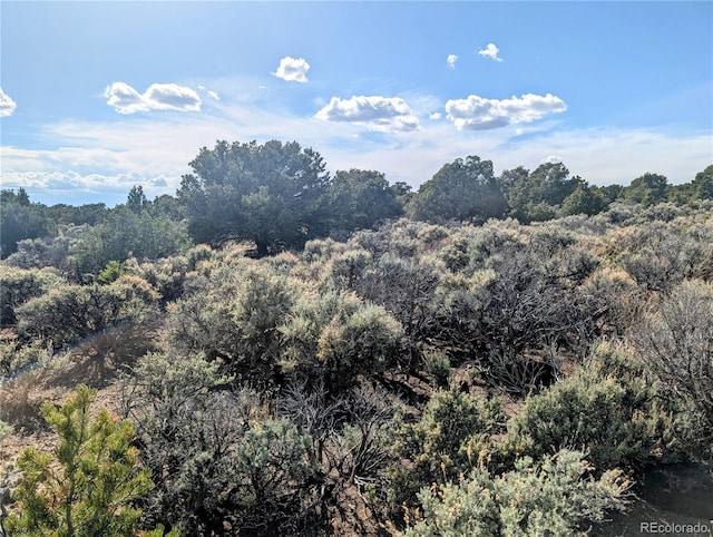 35ACRES Elk Park Rd, Fort Garland, CO 81133