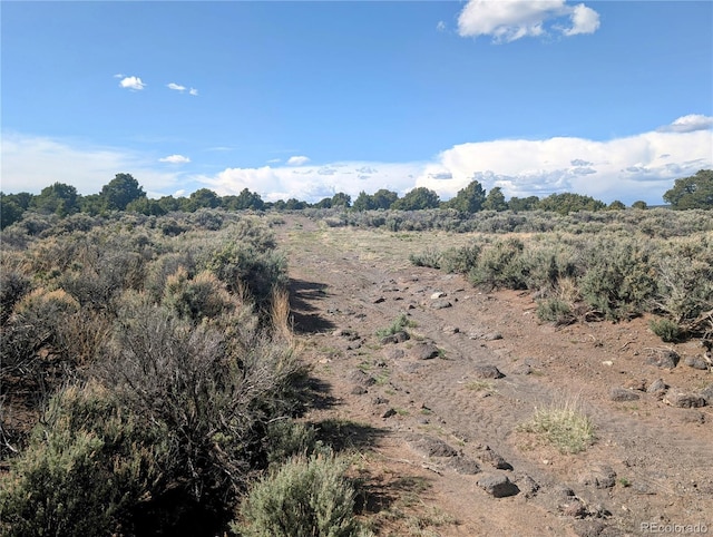 35ACRES Elk Park Rd, Fort Garland, CO 81133