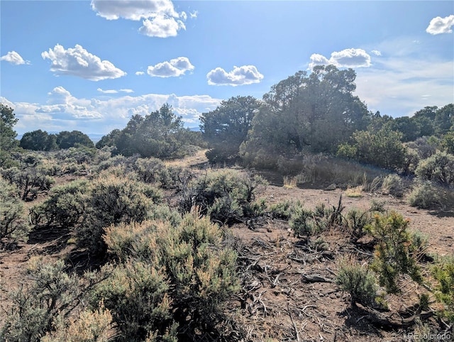 35ACRES Elk Park Rd, Fort Garland, CO 81133