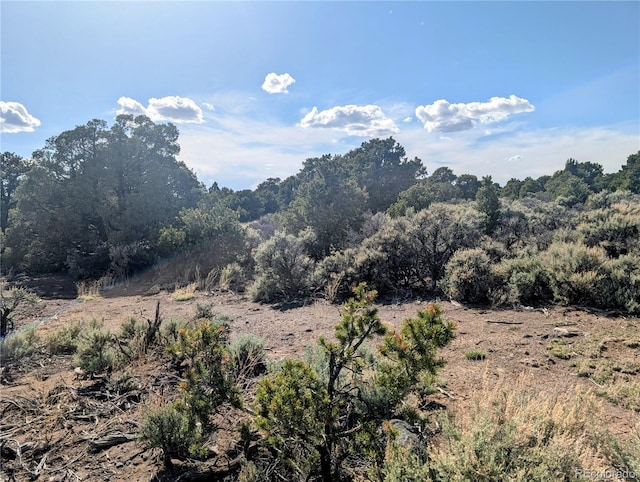 35ACRES Elk Park Rd, Fort Garland, CO 81133