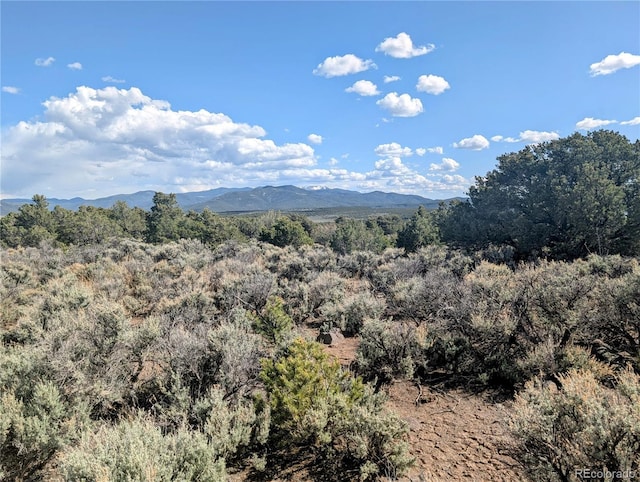 35ACRES Elk Park Rd, Fort Garland, CO 81133