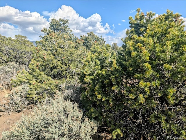 35ACRES Elk Park Rd, Fort Garland, CO 81133