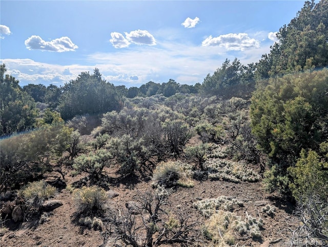 35ACRES Elk Park Rd, Fort Garland, CO 81133