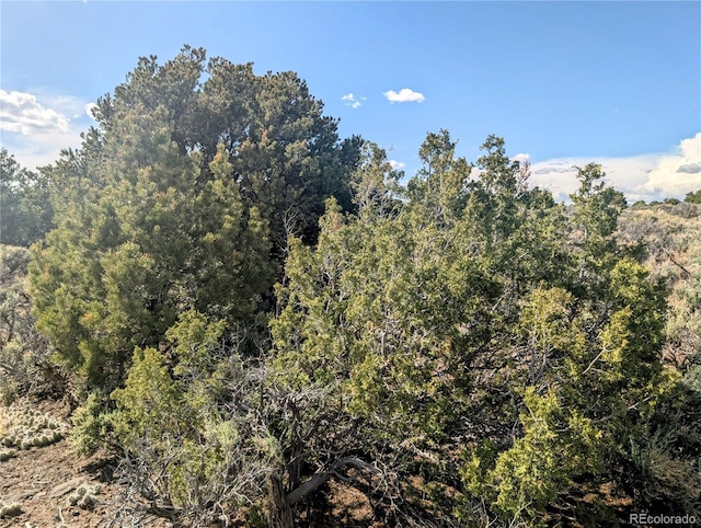 35ACRES Elk Park Rd, Fort Garland, CO 81133