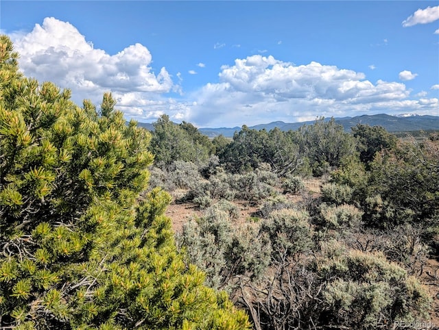 35ACRES Elk Park Rd, Fort Garland, CO 81133