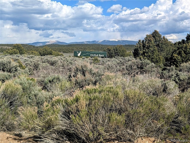 35ACRES Elk Park Rd, Fort Garland, CO 81133