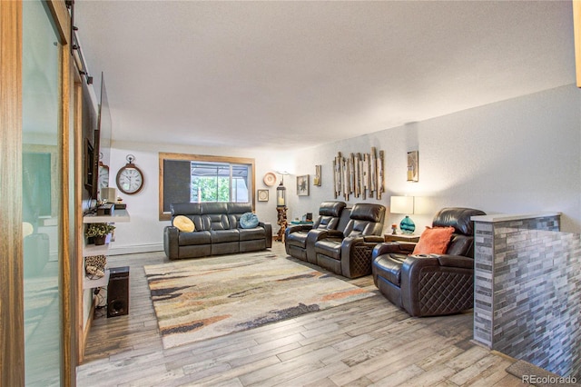 living room featuring light hardwood / wood-style flooring and a barn door