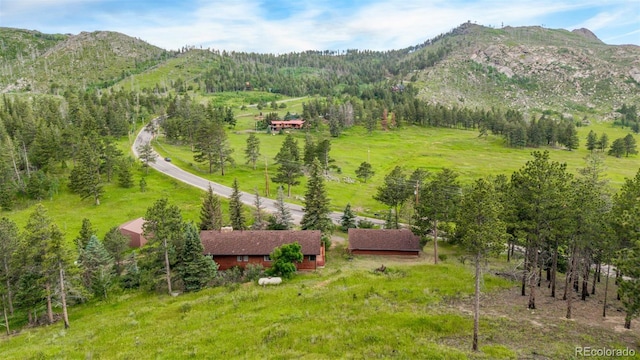 15481 Rist Canyon Rd, Bellvue, CO 80512 - photo 38