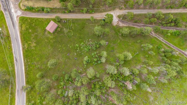 15481 Rist Canyon Rd, Bellvue, CO 80512 - photo 43