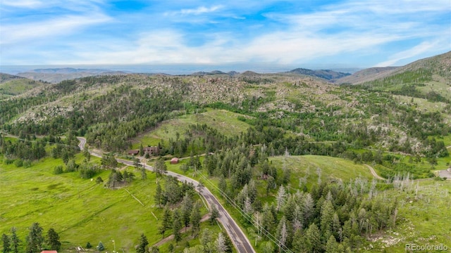 15481 Rist Canyon Rd, Bellvue, CO 80512 - photo 45